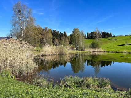 Dörnlesee in Lingenau