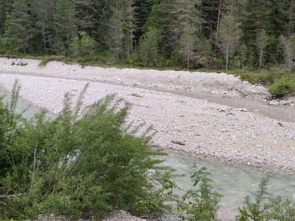 Foto von Wanderuhu entlang der Tour
