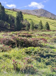 Photo de EVI le long du parcours