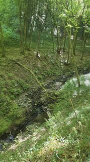 Photo de Dietmar Herrenschmidt le long du parcours