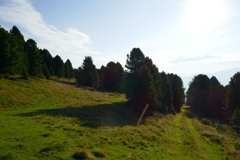 die "Forststraße" ist in der Karte nicht eingezeichnet