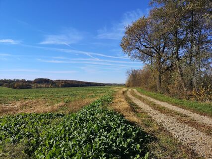 Zdjęcie z Cvetka Salamon wzdłuż trasy