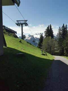 Photo de Waldläufer le long du parcours