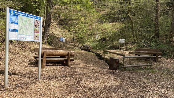 Foto von hob2020 entlang der Tour