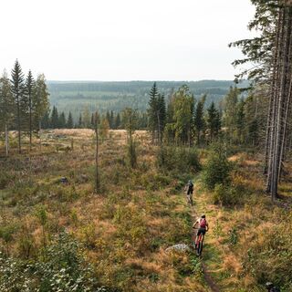 Zwei Mountainbiker, die auf einem Pfad am Waldrand radeln