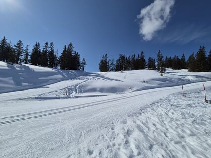 Fotografija s spletne strani Brigitta Madár na poti