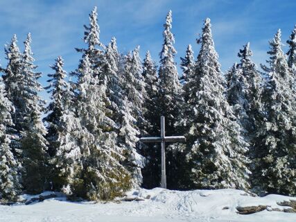 Foto de v.stein a lo largo del recorrido