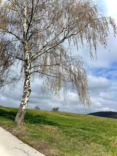 Photo de Kellner Heidi le long du parcours