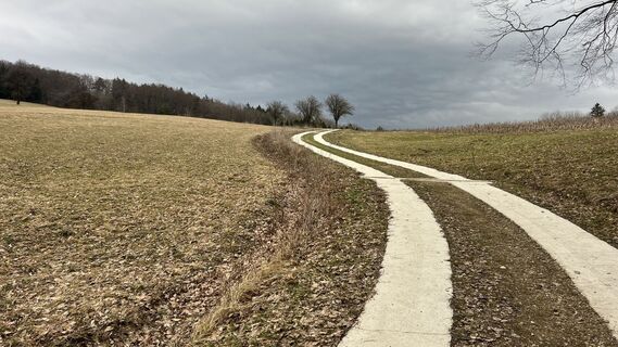 Zdjęcie z Pawel Müller wzdłuż trasy