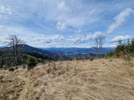 Fotografija s spletne strani Danii__94_ na poti
