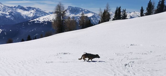 Foto von Claudia Hinteregger entlang der Tour