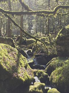 Photo de Michel Kennel le long du parcours