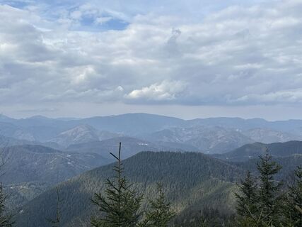 Fotografija s spletne strani Kersten Viehmann na poti