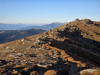 Fotografia z TwilightTea na trase