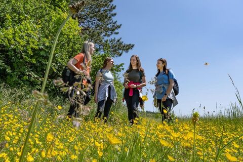 Wandern am Panoramaweg