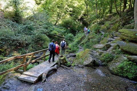 Ehrbachklamm - Brücke Mermuther Bach