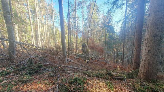 Photo de Reinhart Adam le long du parcours