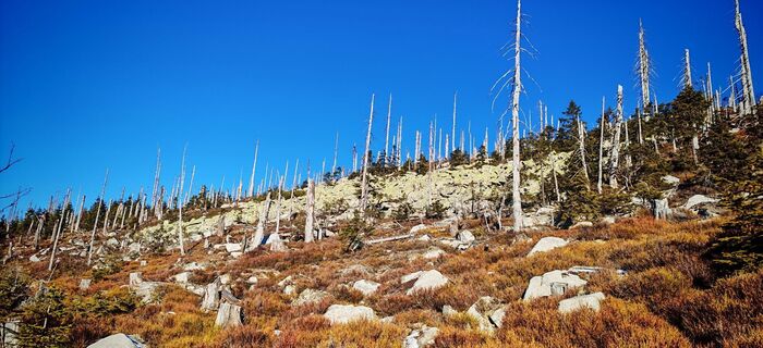 Fotografia z ReginaSt na trase