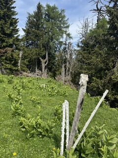 Zdjęcie z Matthias Rath wzdłuż trasy