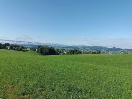 Fotografija s spletne strani flexl-f na poti