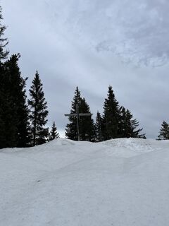 Foto von Michaela Berger entlang der Tour