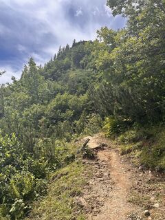 Foto de Stefan Aust a lo largo del recorrido