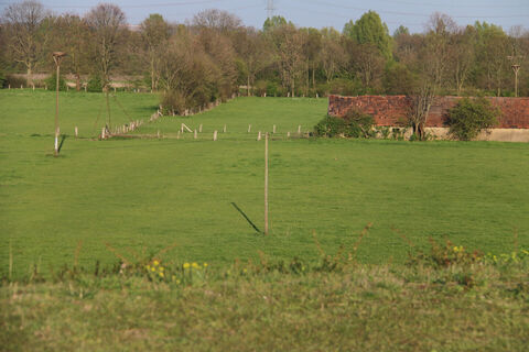 Rheinaue