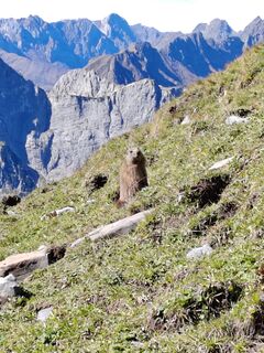 Foto da U Kirschstein lungo il tour