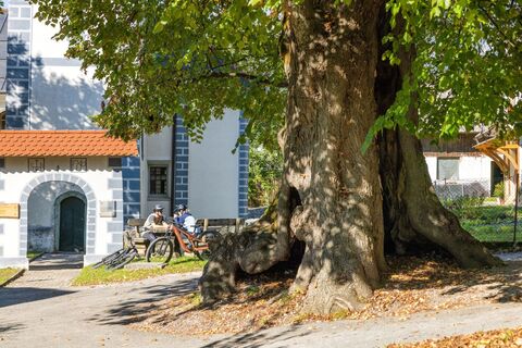 Lindenbaum in Žiganja vas
