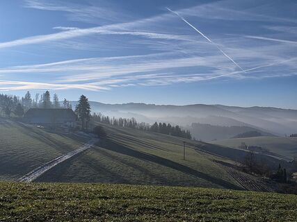 Foto de Noreen (NoKe) a lo largo del recorrido