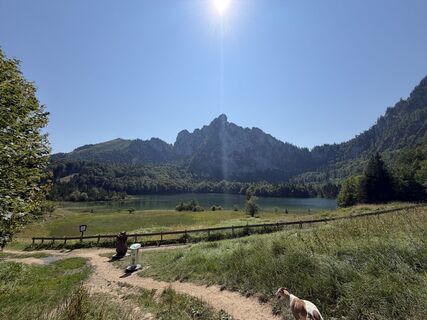 Fotografija s spletne strani Babs Holz na poti