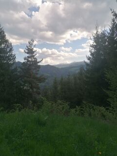 Fotografia z Ulrike Knas na trase