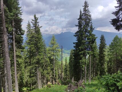 Fotografia z Christian Haßmann na trase