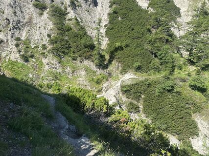 Fotografija s spletne strani Martin na poti