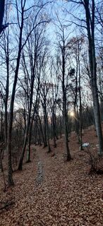 Foto von Daniele Spezia entlang der Tour