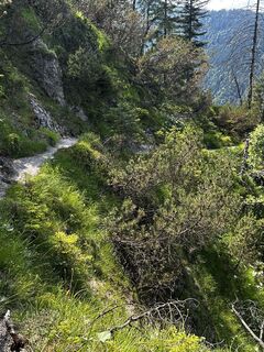Foto de Katrin Rupprecht a lo largo del recorrido