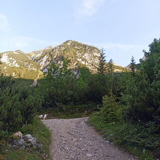 Fotografija s spletne strani Andrè Fritsch na poti