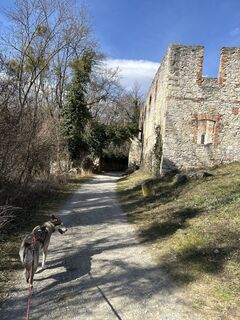 Fotografie de la Mario Loibl de-a lungul turului
