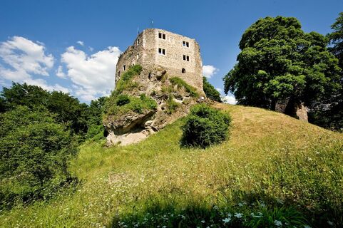Burgruine - Bad Liebenstein