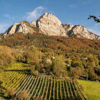 Gonzen mit Rebberge in Sargans