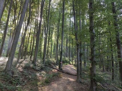 Fotó a Lena Eder honlapról a túra során