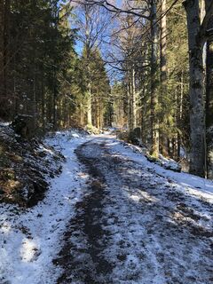 Fotografia z Martin Hentschel na trase