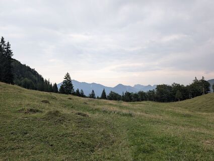 Foto von Stubi entlang der Tour