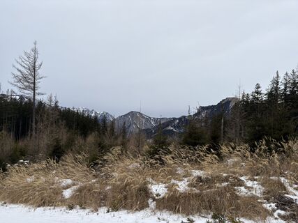 Fotografija s spletne strani Stefan Tesch na poti