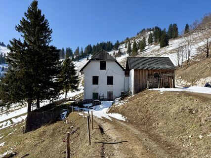 Foto von Natur_erleben_dg entlang der Tour