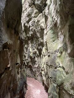 Foto fra Gloop undervejs på turen