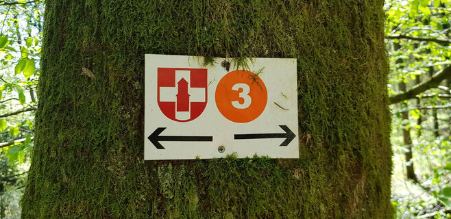 Fitnessrunde Mutlangen 3