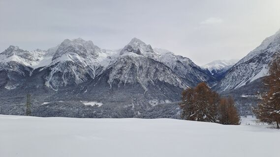 Foto von Gibi entlang der Tour