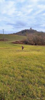 Fotografija s spletne strani Jenő Németh 1 na poti