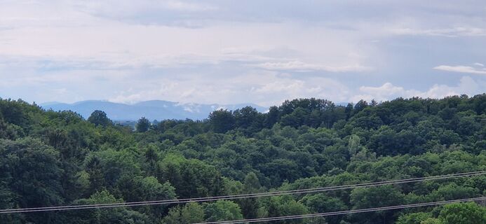 Foto von Utassy Tóth Johanna entlang der Tour